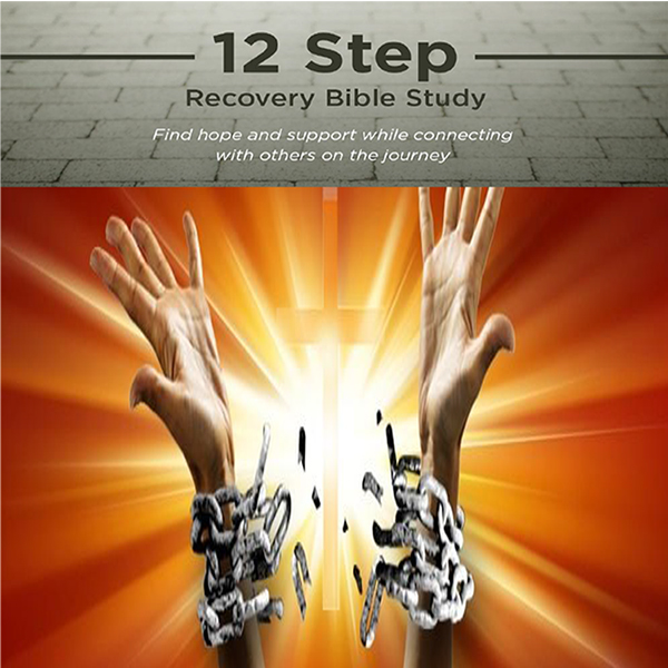 12 Step Recovery Program