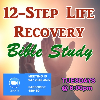 12 Step Bible Study